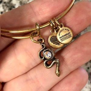 Alex and Ani snake gem charm bracelet
